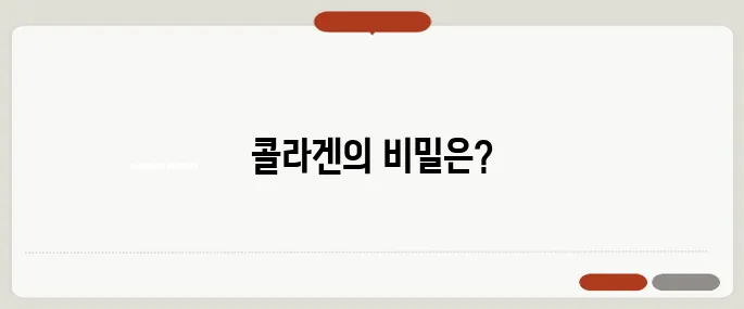 콜라겐의 효능 어떤가요? 피부와 관절 모두에 좋은 성분