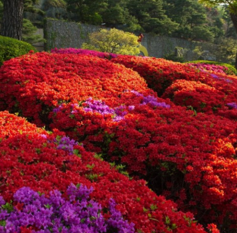 화담숲 주변 맛집 가볼만한곳