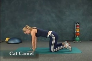 네발기기 자세 이미지