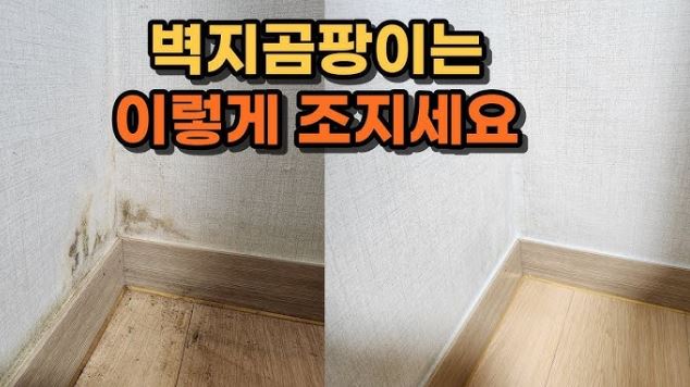 벽지 곰팡이는 이렇게 조지세요