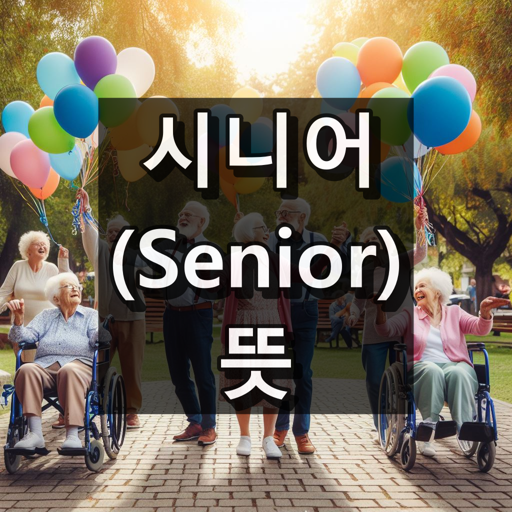 시니어 뜻 대표 이미지
