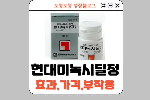 현대미녹시딜정 안내 이미지