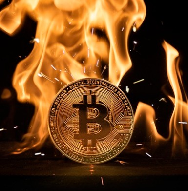 비트코인 하락 요인 분석
