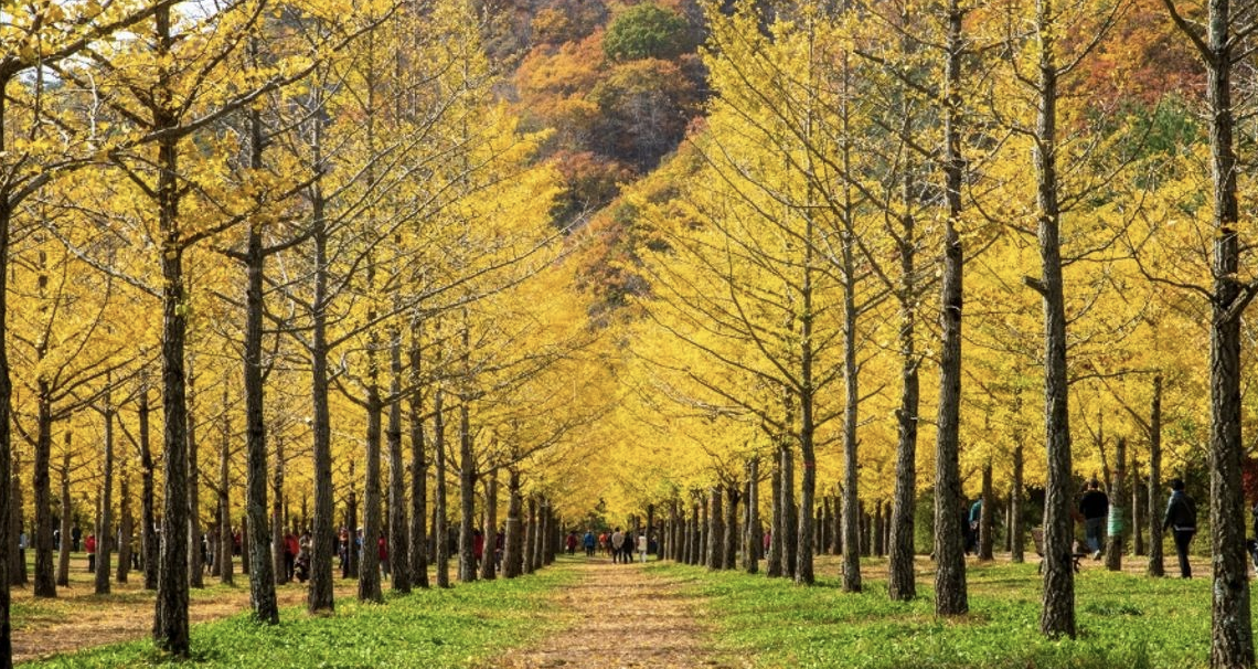 강원도 홍천 여행지 이미지