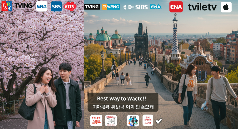 놓치면 후회! 지지고 볶는 여행 12회 다시보기 &amp; 재방송 시청 방법 지금 바로 신청하세요