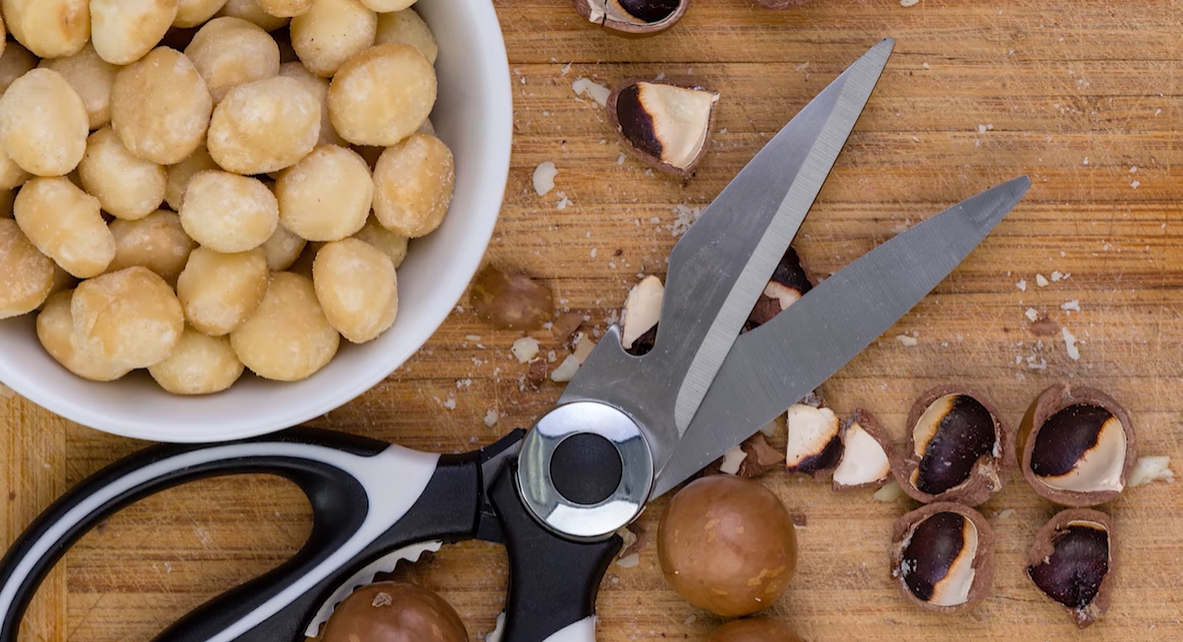 마카다미아의 효능