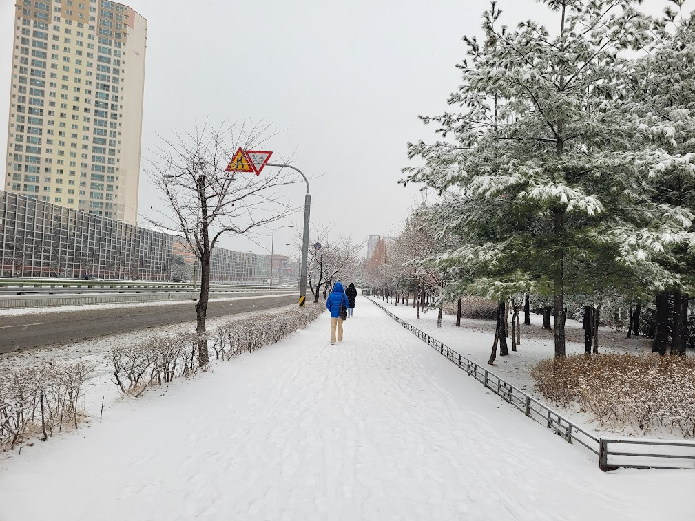 첫눈이 소복히 내린 거리
