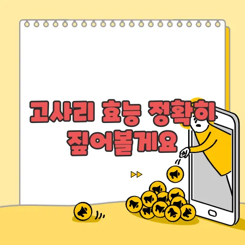 고사리 효능 정확히 짚어볼게요