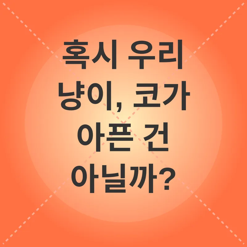 고양이 코 건강_3