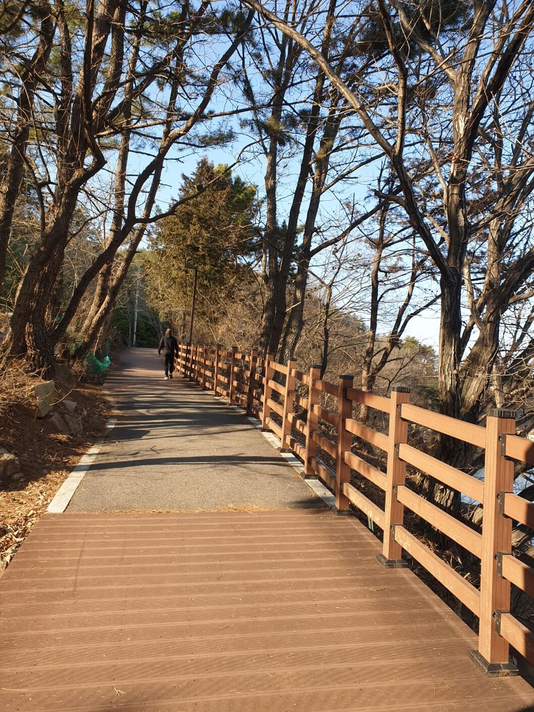 양산천 산책로
