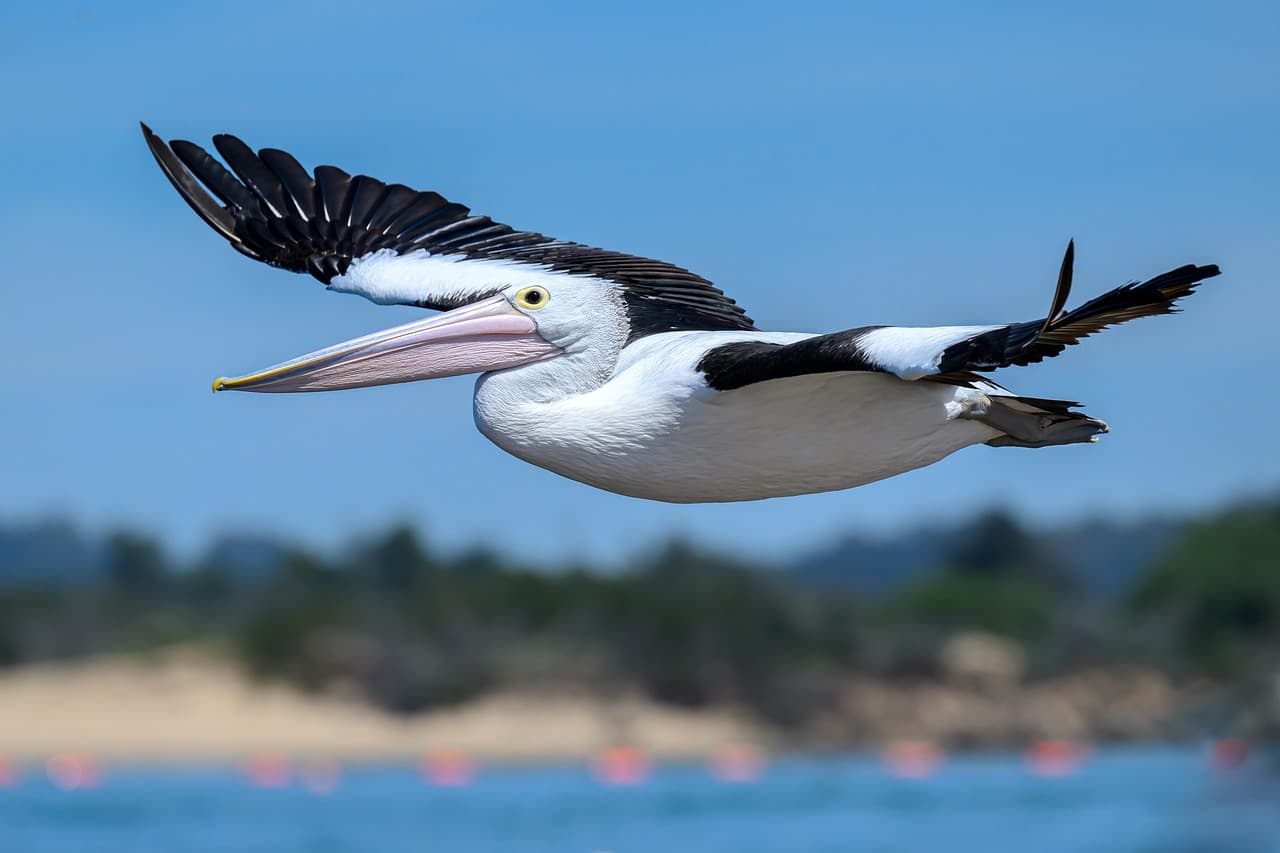 비현실적 풍경의 VR 구현