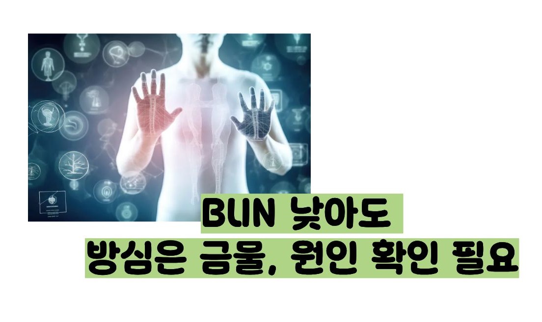 BUN 수치