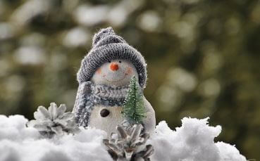 사람 메타뉴모 바이러스