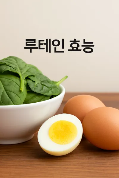 시금치와 계란 루테인