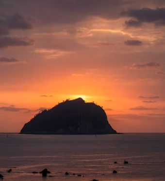 제주도 렌트카 비교사이트