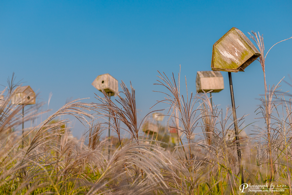 2018년 하늘공원 조형물 사진