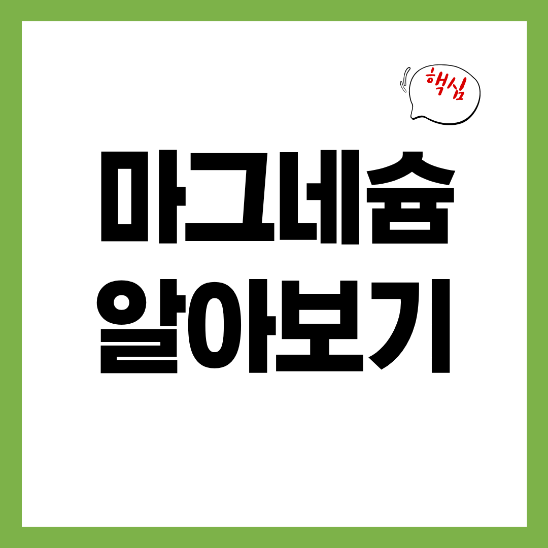 50대 필수 영양제 마그네슘, 하루 권장량과 고르는 기준