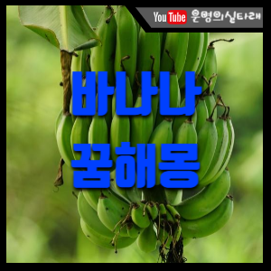 썸네일사진