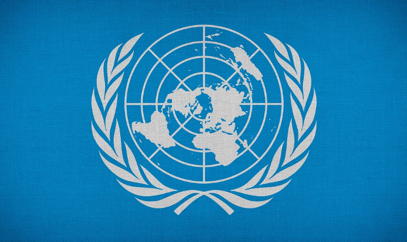 국제 기구들은 어떻게 멸종위기 동물을 보호하나? – UN, CITES, WWF의 정책과 경제적 효과