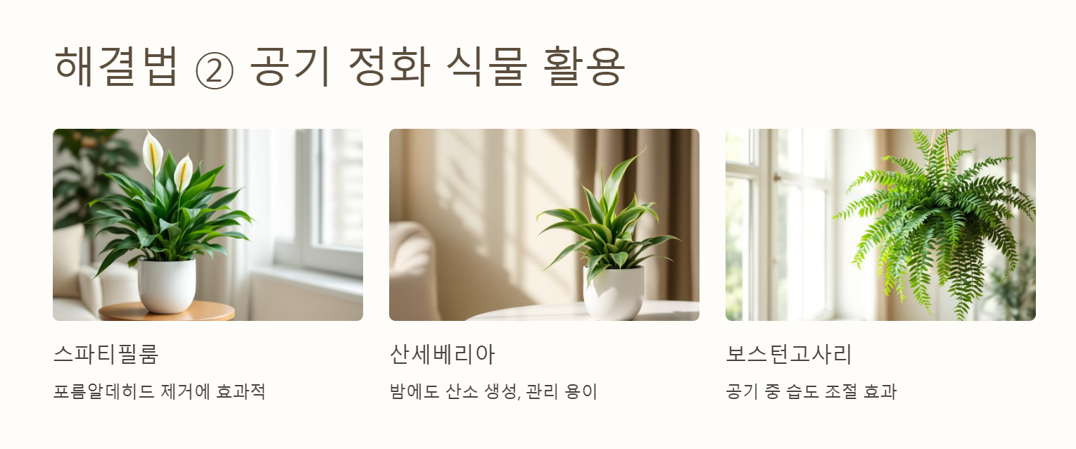 새집증후군 해결법 공기 정화 식물 활용