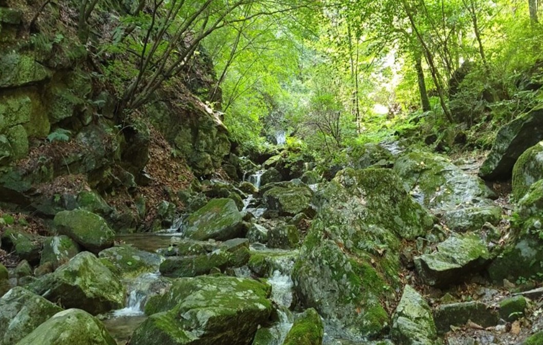 국립-치악산-자연휴양림