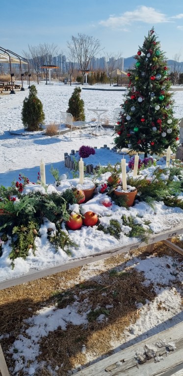 세종 국립 수목원