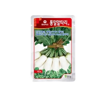 알타리무 재배 서늘한 기온 관리 연속 수확 물 주기_11