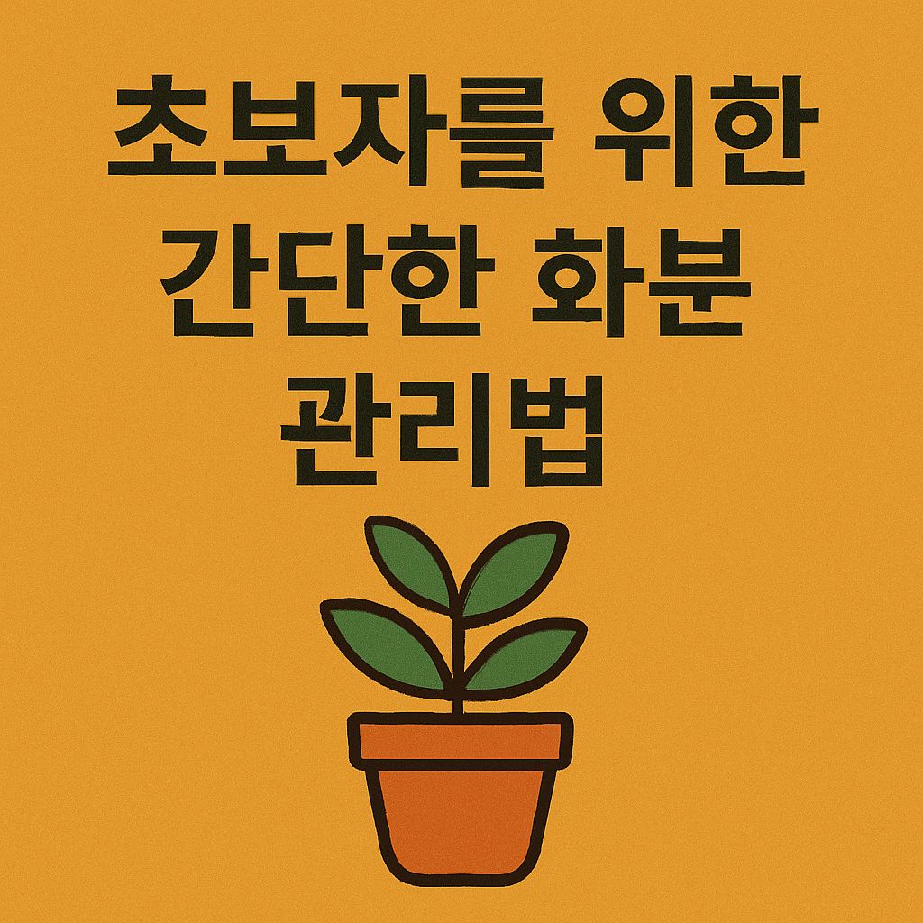 초보자를 위한 간단한 화분 관리법 BEST 5