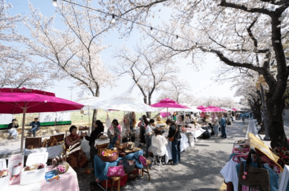 경주 벚꽃축제 대릉원돌담길 축제 일정 행사 공연 주차 개화 시기