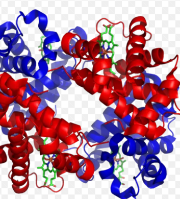 중년 단백질 하루 권장량 총정리! 체중 기준 계산법까지