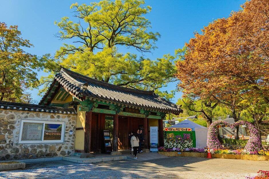 삼척 비치 썸 페스티벌