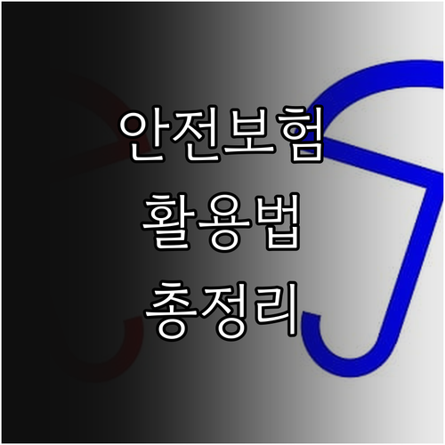 2025 청주시 시민안전보험 활용법:..