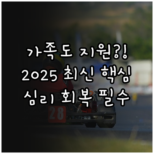 2025 재난심리회복지원 서비스: 가..