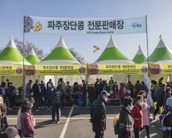 파주 장단콩축제_9