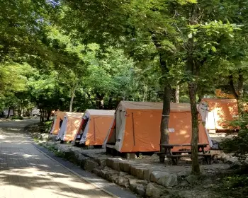 서울대공원 캠핑장 예약_8