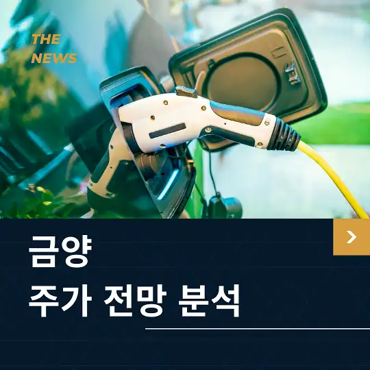 금양 주가 전망 및 분석