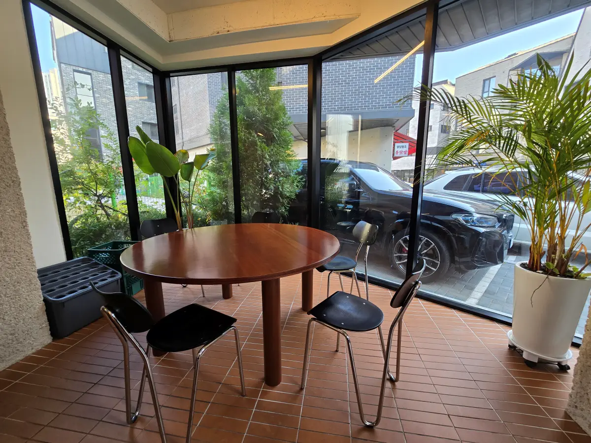 카페 구석에 배치되어 있는 식물 화분들