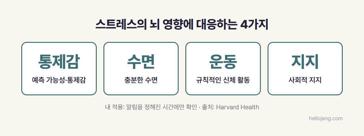 만성 스트레스의 뇌 영향에 대응하는 방법으로 예측 가능성과 통제감, 충분한 수면, 규칙적인 신체 활동, 사회적 지지 네 가지를 정리한 카드 그림