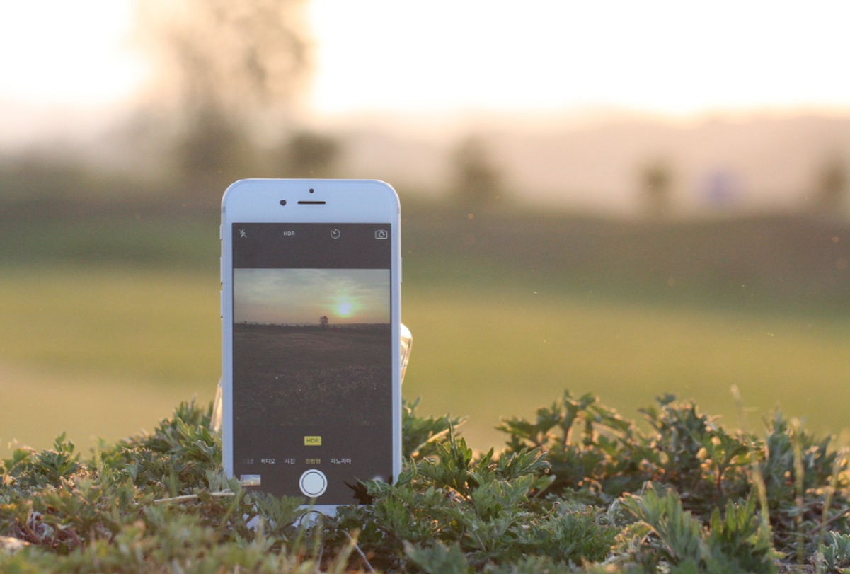 풀밭에 아이폰이 세워 있는 사진
