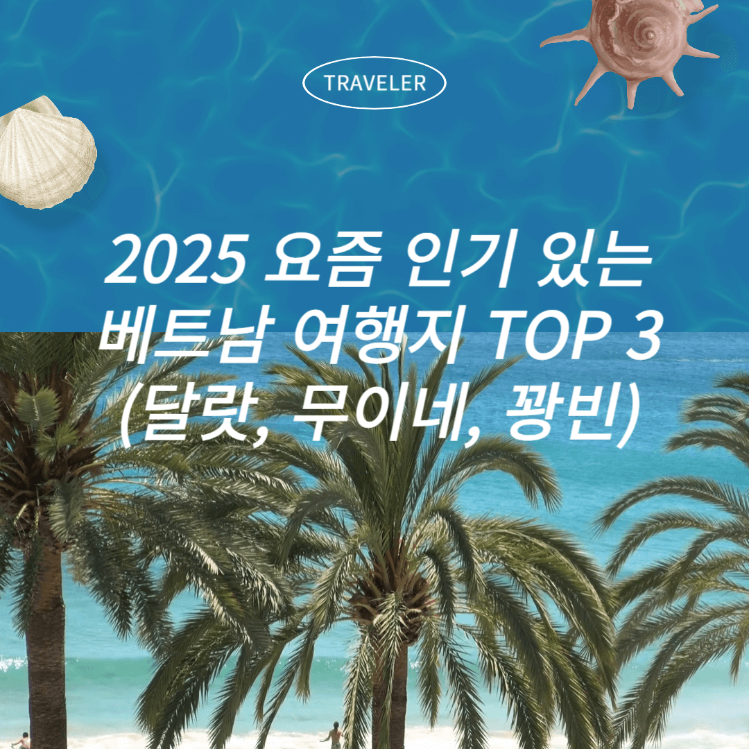 2025 요즘 인기 있는 베트남 여행지 TOP 3 (달랏, 무이네, 꽝빈) 소개