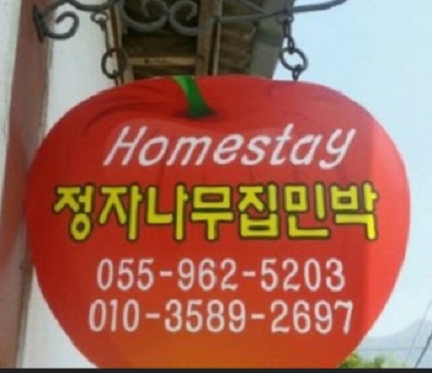 한국인의밥상-함양-지리산-민박집-정자나무집민박