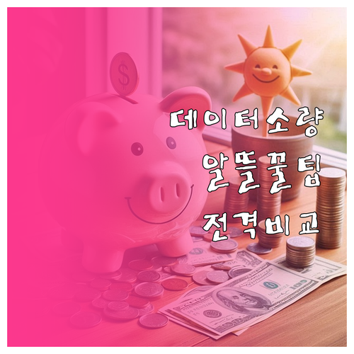 데이터 적게 쓰는 사람을 위한 알뜰폰..