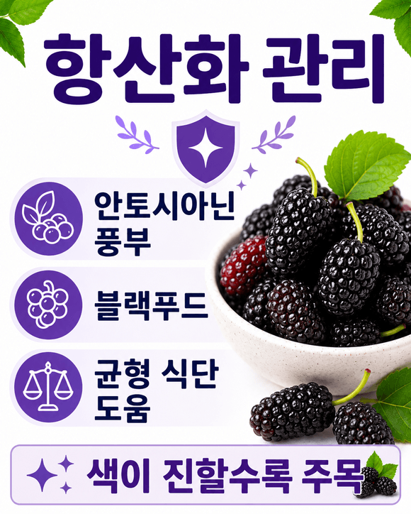 오디 효능