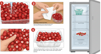 산딸기-보관-방법