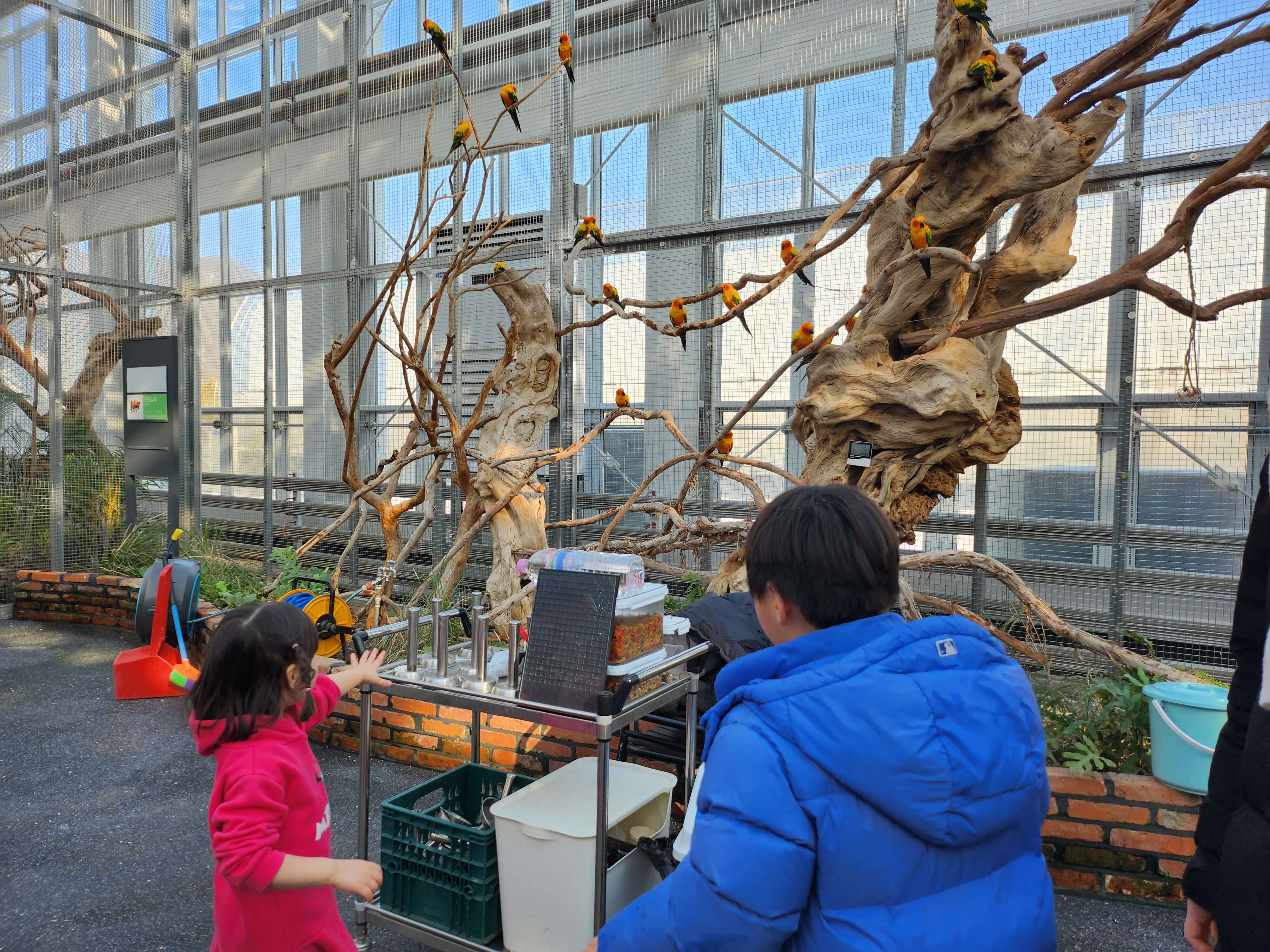 가평 베고니아 정원