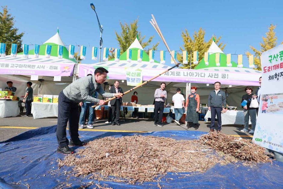 11월 지역 축제 - 경남 경북 가을 축제