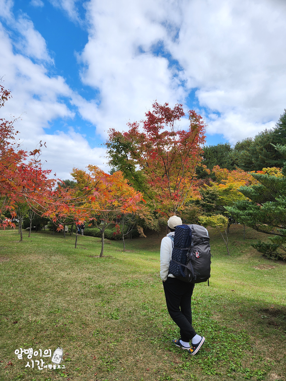 #27 엄마랑 춘천 남이섬 모녀 백패킹 _캠핑 초보자 박지 추천 - undefined - 첫 배 들어오기 전 고요한 남이섬의 아침 #27 엄마랑 춘천 남이섬 모녀 백패킹 _캠핑 초보자 박지 추천 - undefined - 첫 배 들어오기 전 고요한 남이섬의 아침