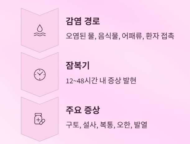 겨울철 노로바이러스 감염증, 올바른 예방과 대처법