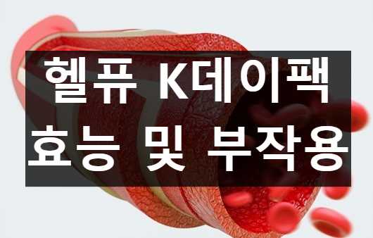 헬퓨 K데이팩