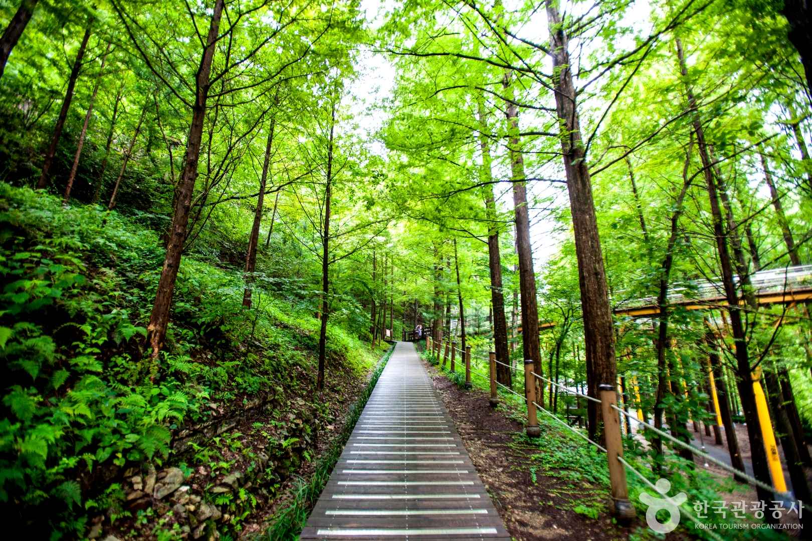 장태산자연휴양림